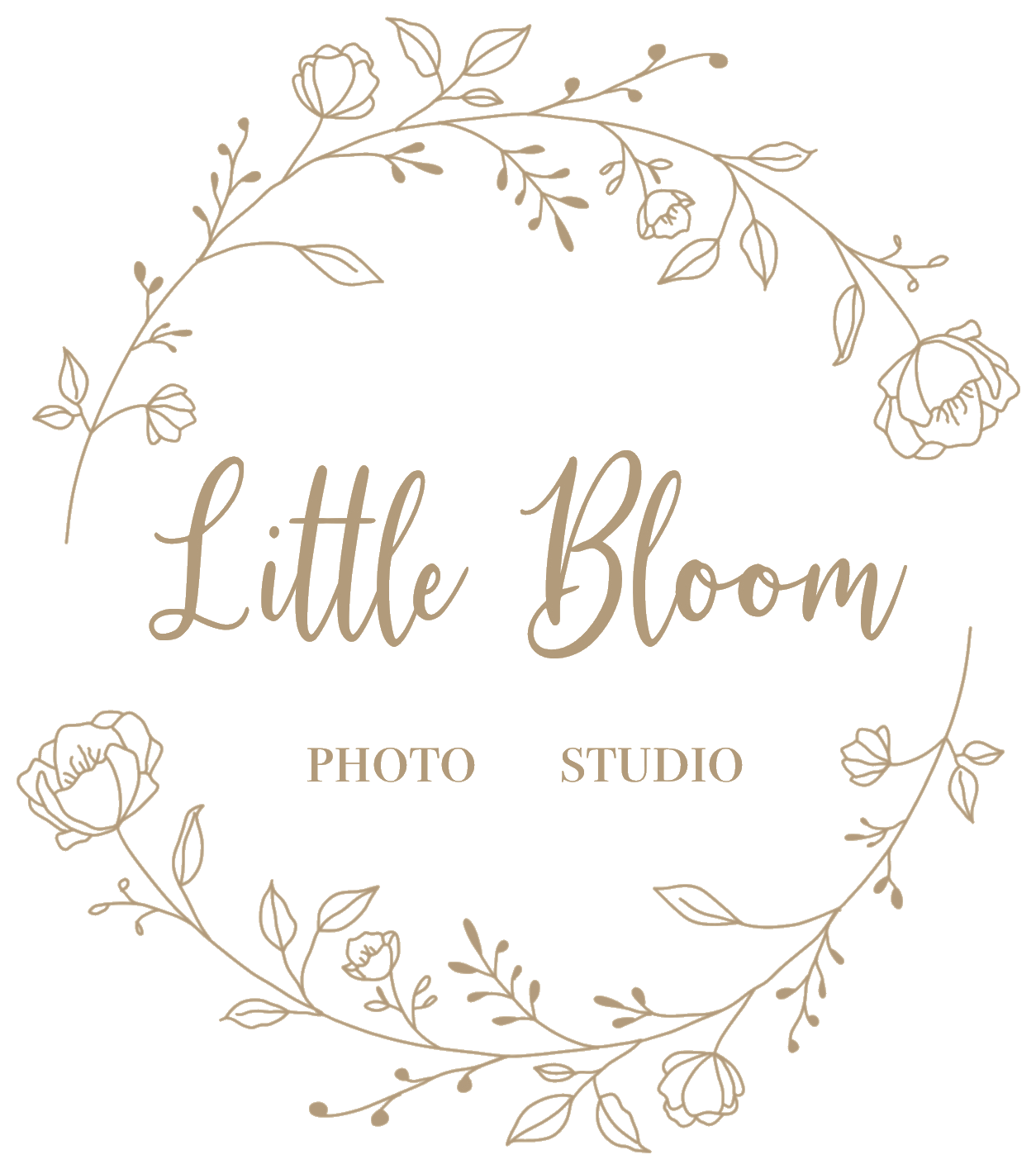 Little Bloom Photo Studio